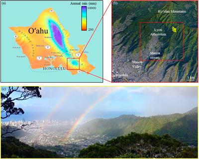 High Space-Time Resolution Observation of Extreme Orographic Rain Gradients in a Pacific Island Catchment